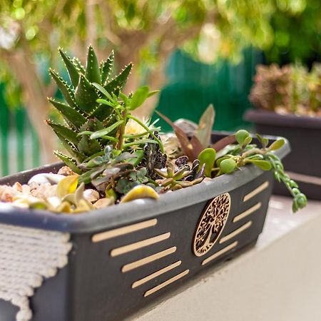 Cactus Apartman Maspalomas  Kültér fotó