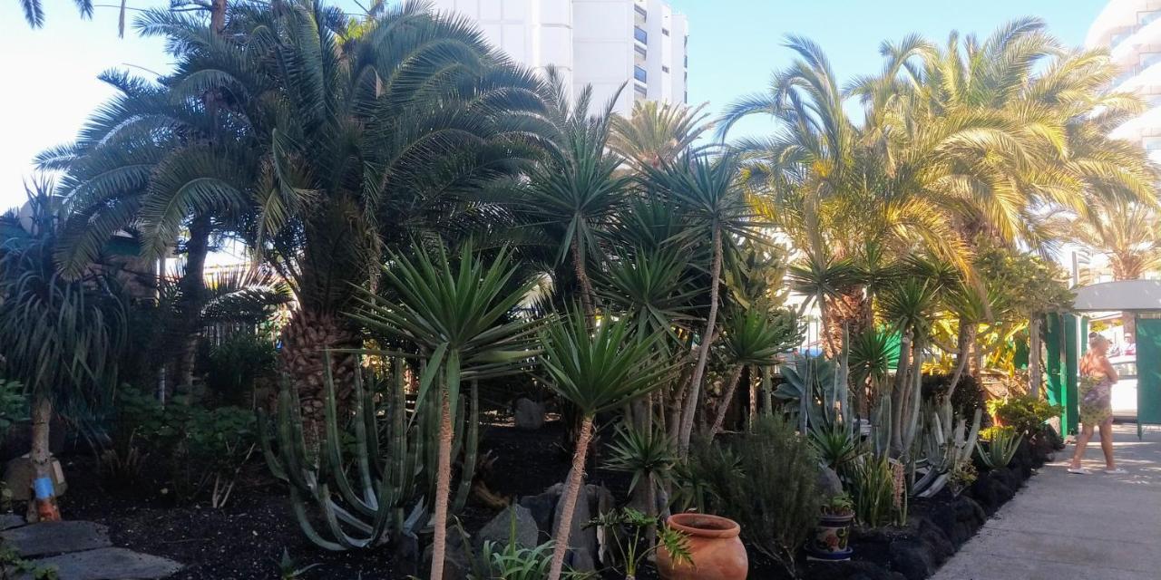 Cactus Apartman Maspalomas  Kültér fotó