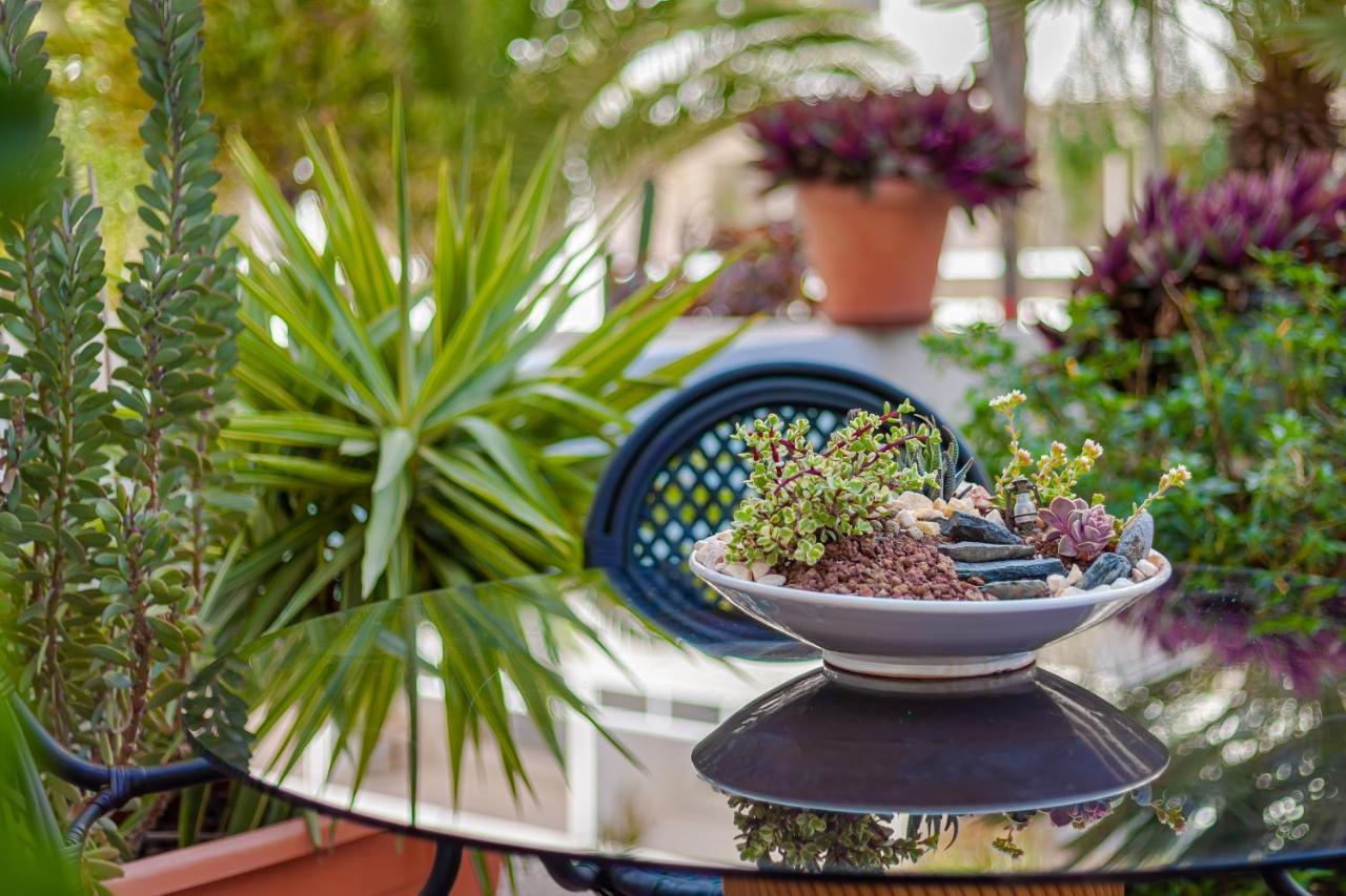 Cactus Apartman Maspalomas  Kültér fotó
