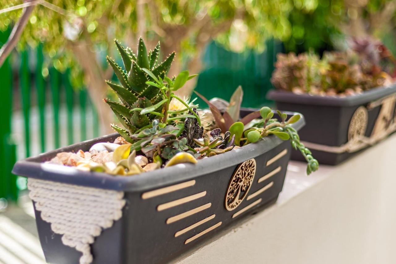 Cactus Apartman Maspalomas  Kültér fotó